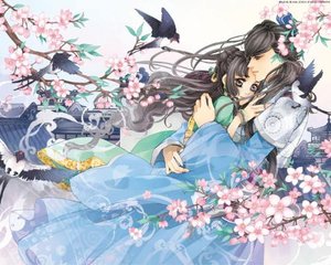 双人打扑克剧烈运动视频